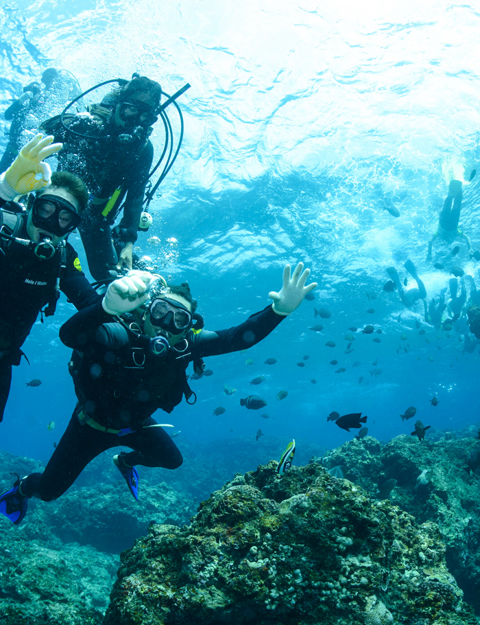 Dive Master