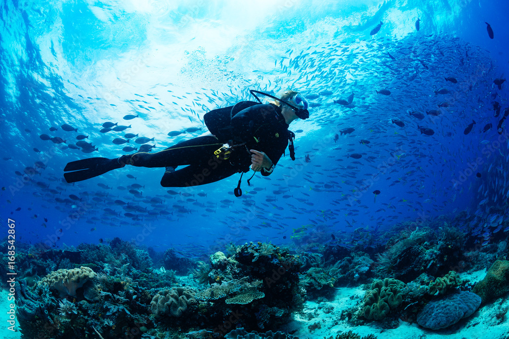 Discover Scuba Diving