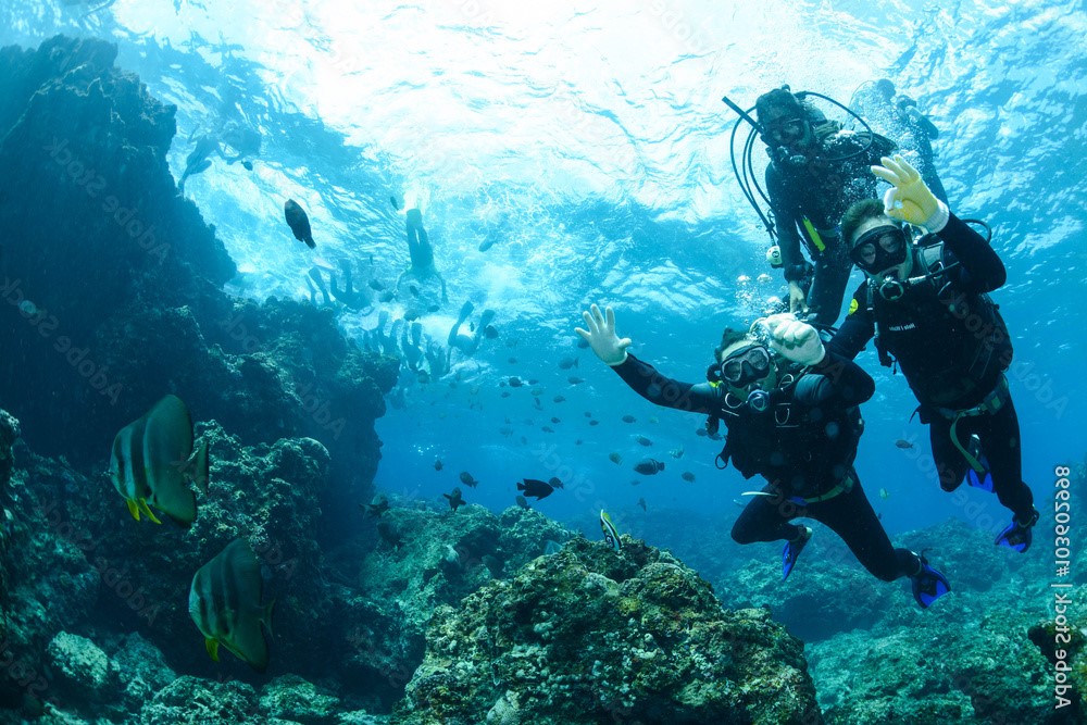 Open Water Diver