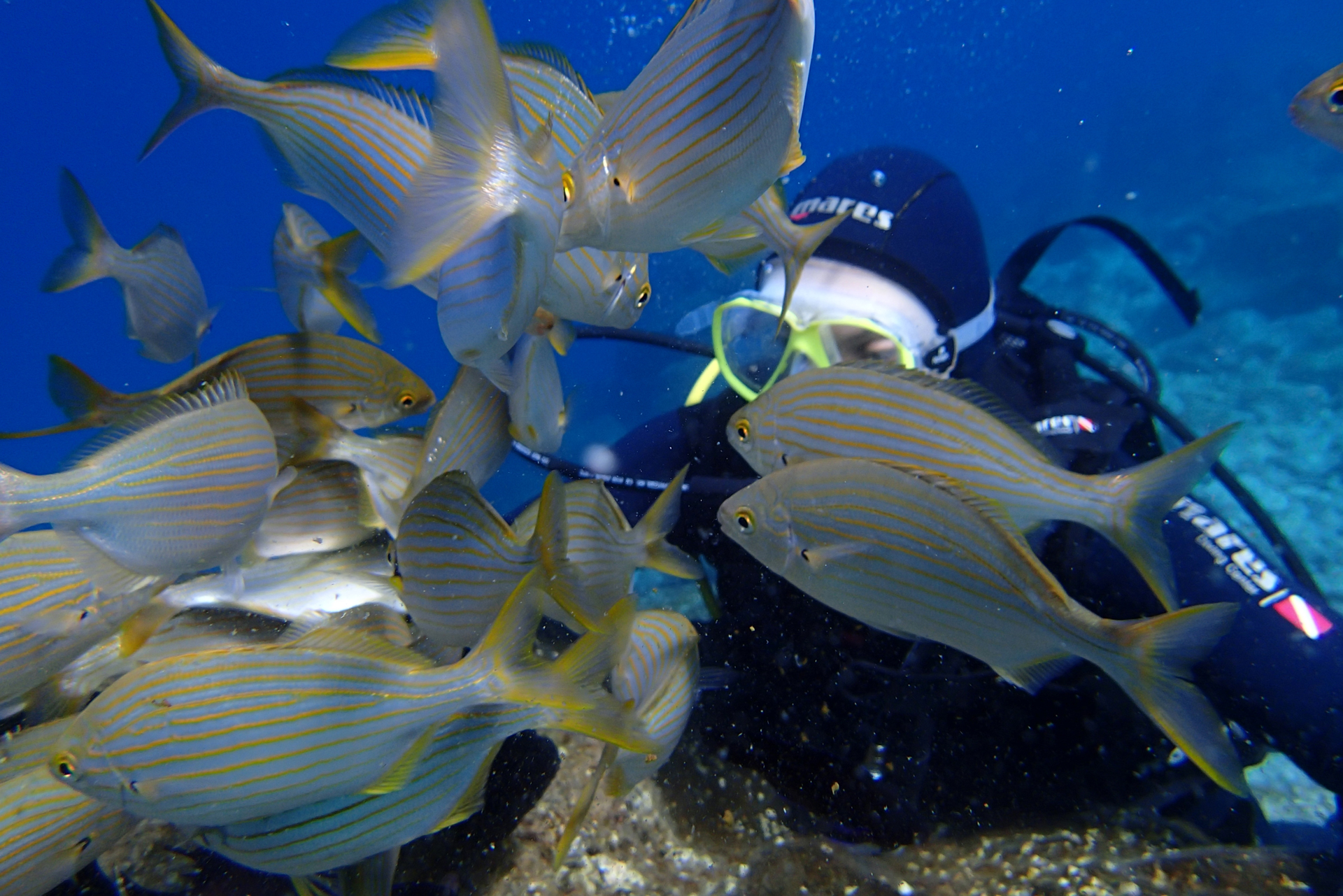 Master Scuba Diver